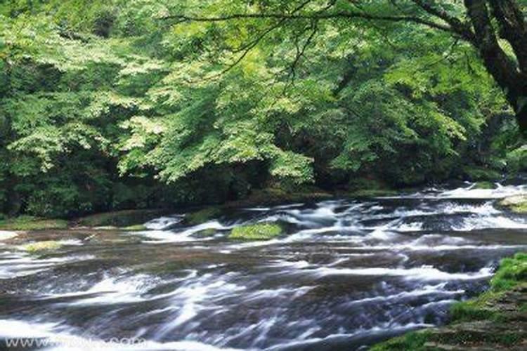 梦见水渠流水预示什么意思呢解梦