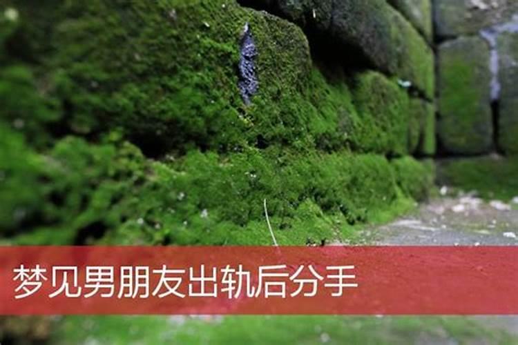 梦见男友出轨分手很真实