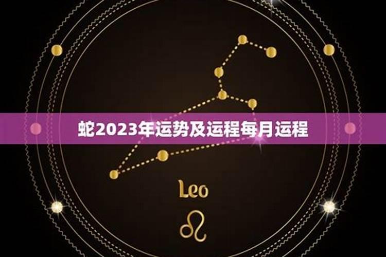 属蛇2023年运势及运程