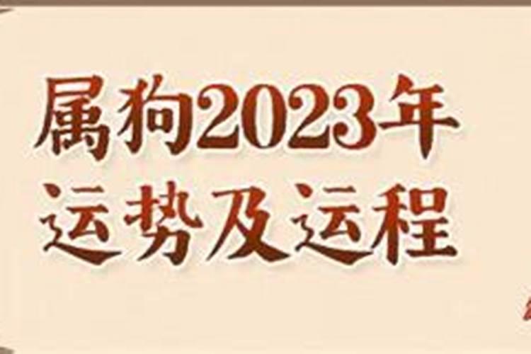 2023年属狗人的全年运势2006