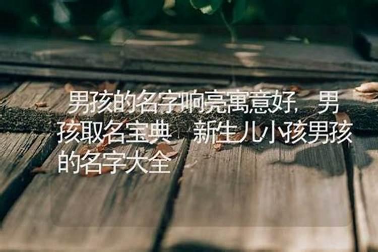 男孩的名字响亮寓意好，男孩取名宝典