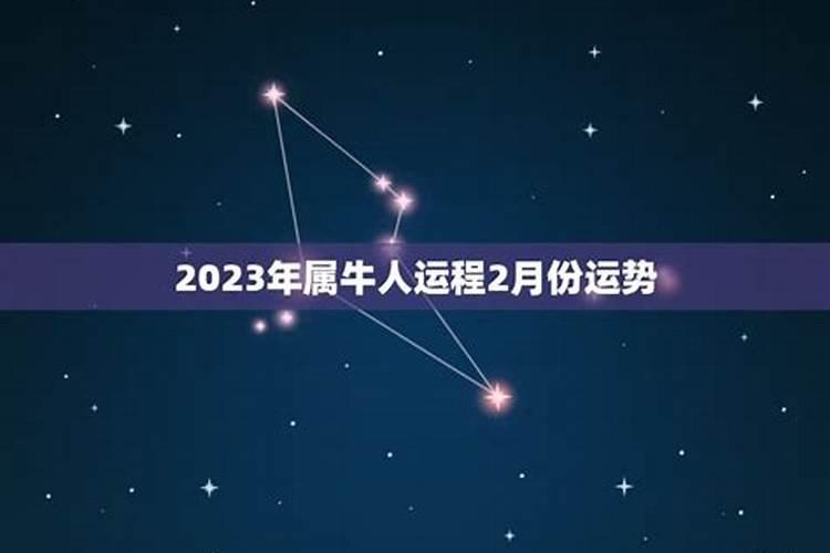 属牛2023年2月运势运程如何