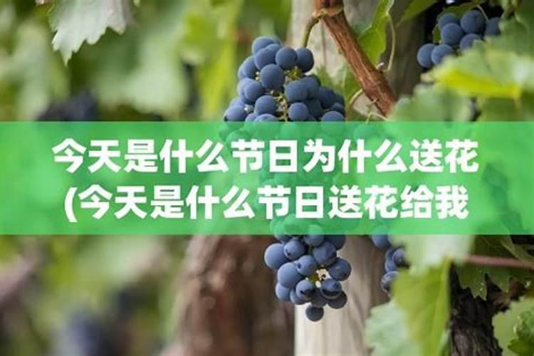 八字合婚一般的可以结婚吗