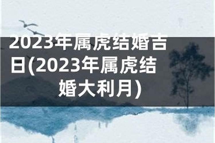 2023年属猪与属虎结婚吉日