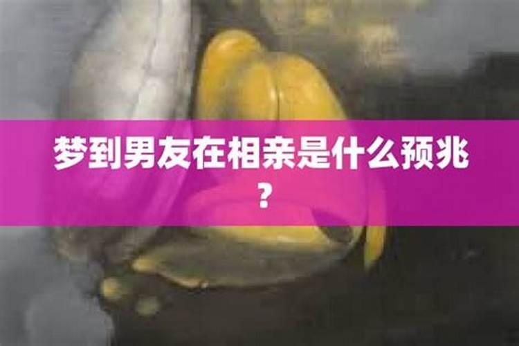 梦见男友亲我预示着什么