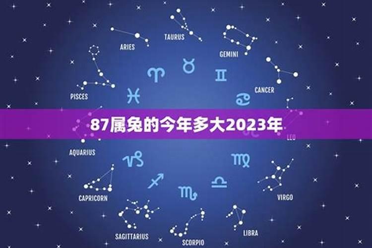 2023年属兔几岁