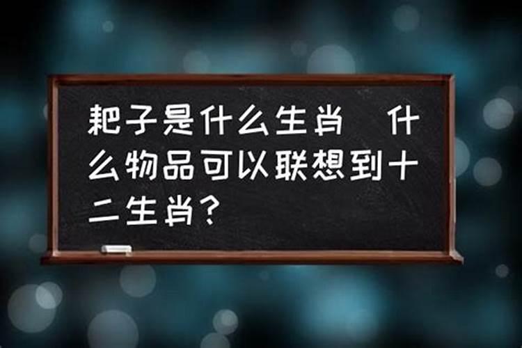 怎样速记十二生肖