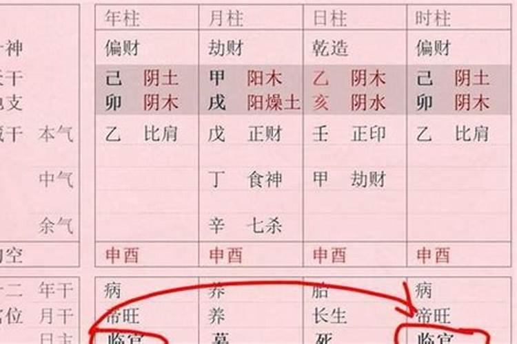 什么是从格的八字