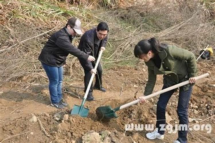 梦到自己在挖土是什么意思