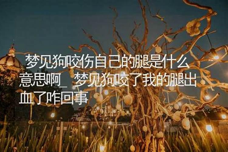 梦见狗流血了是什么意思