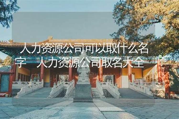 给人力资源公司起名字