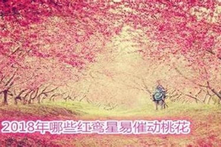 红鸾桃花一定是正缘吗