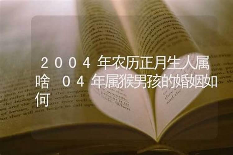 2004年属猴1月出生是什么命