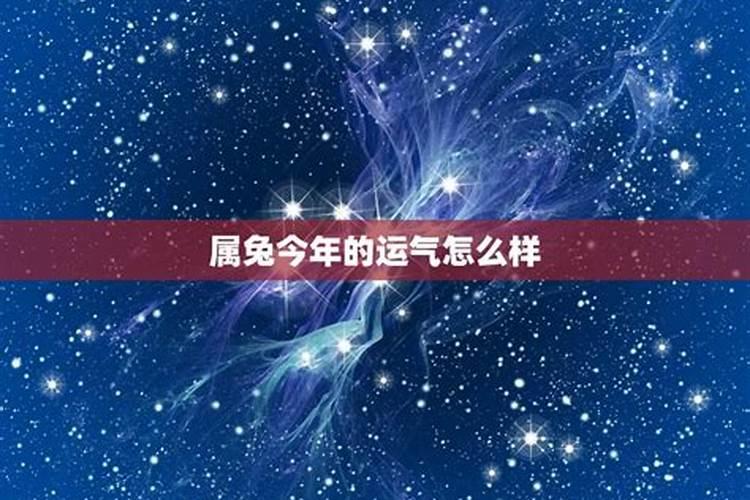 八七年兔今年运势怎么样