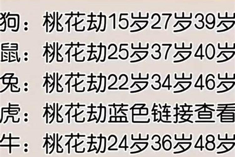 12生肖桃花劫年纪