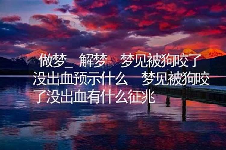 梦见狗有血什么预兆