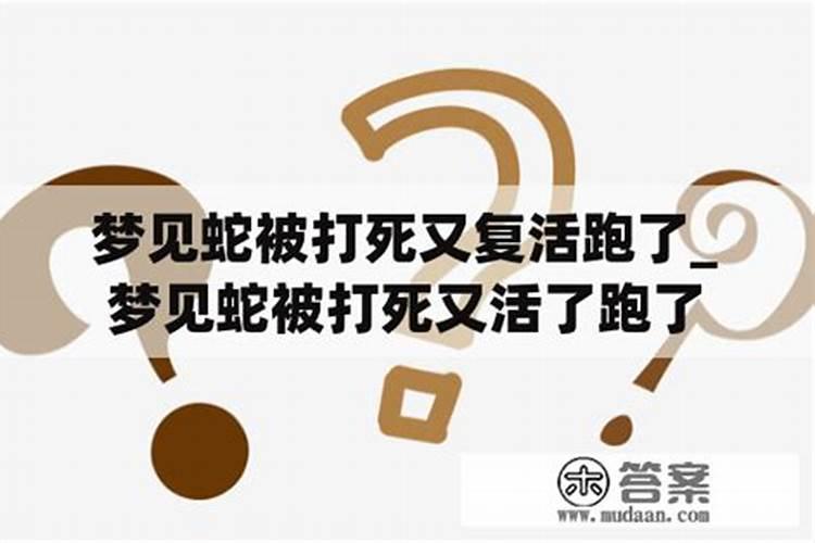 梦见我把蛇砍断了还活着