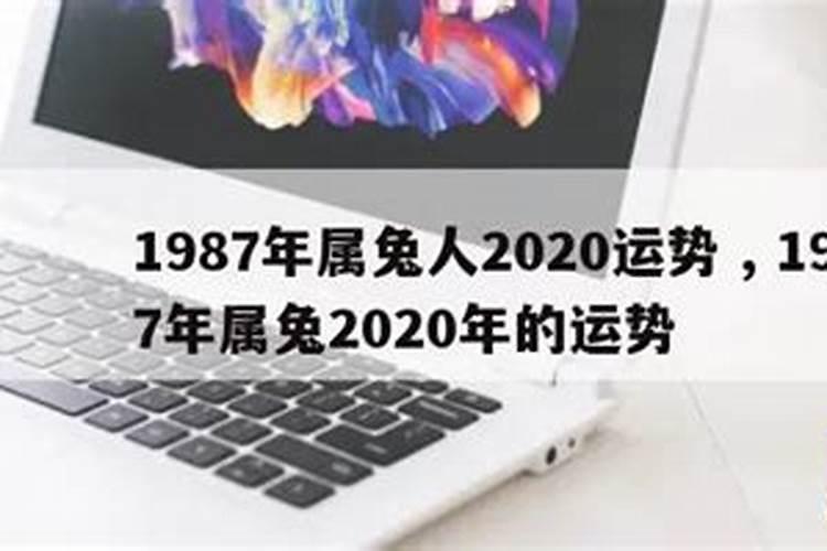 1987年6月属兔2021年运势完整版