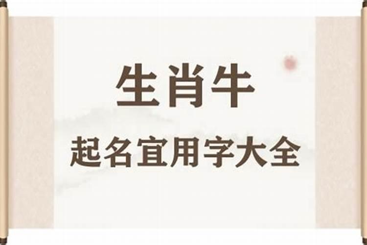 属牛取名字用什么字好