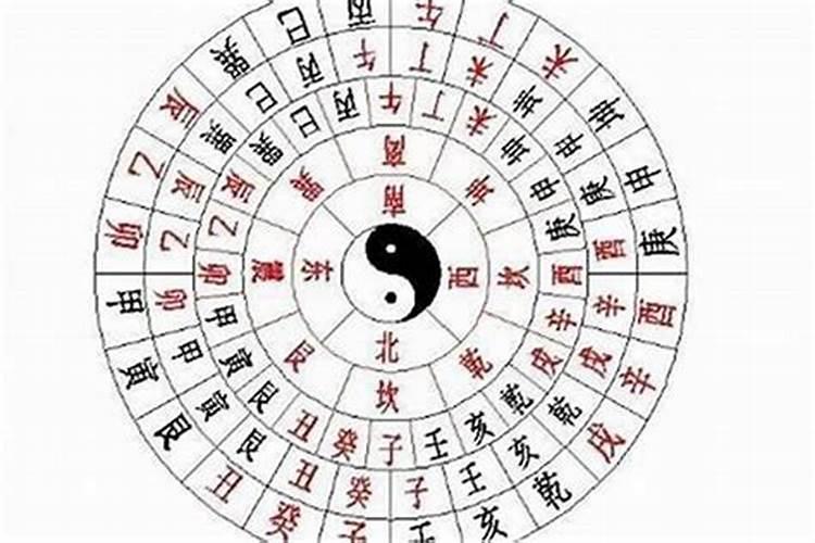 怎么看八字排盘年干