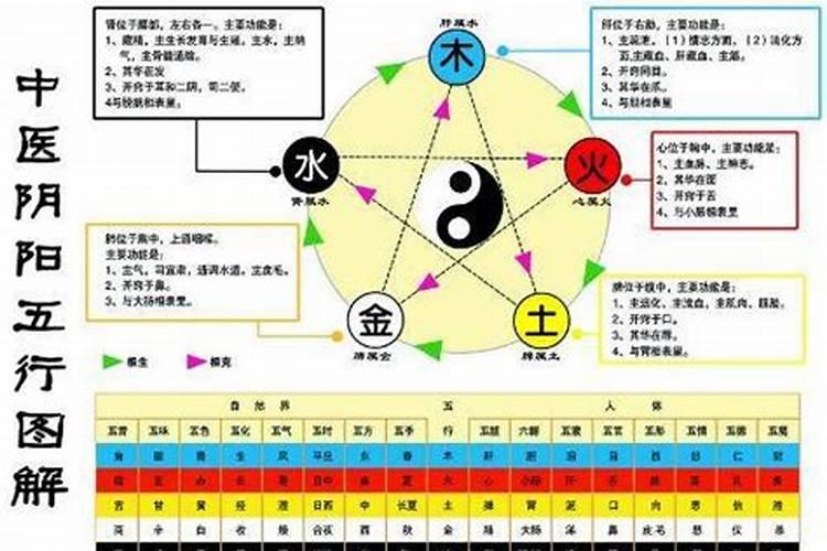 五行金生水金木水火土的相生