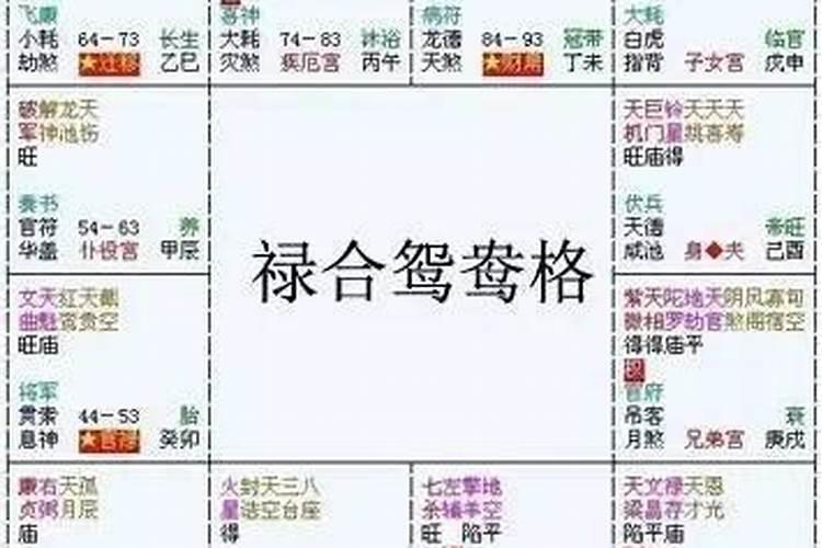 八字天地鸳鸯合举例