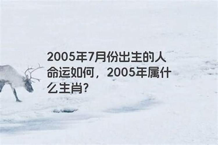 2005年出生什么时候满18周岁？