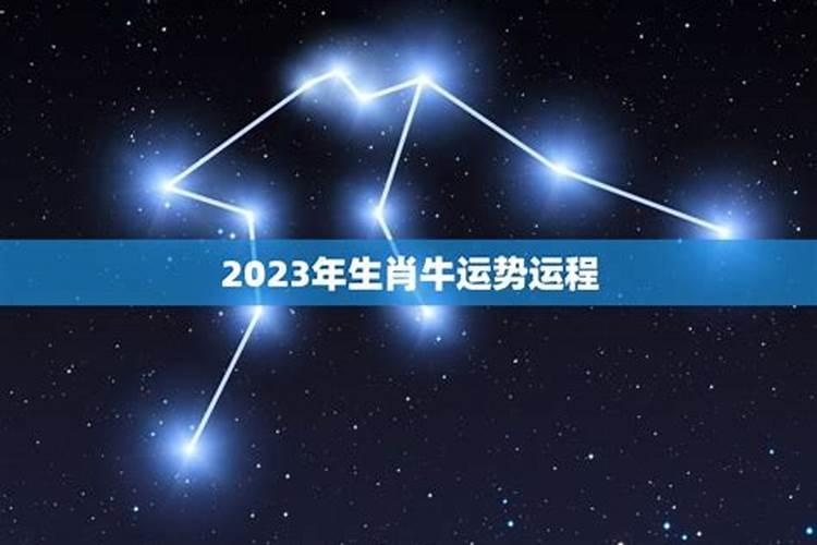 2023年属牛2023年运势