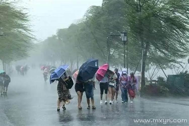 梦见狂风暴雨是什么征兆呢