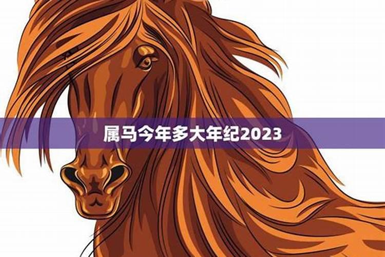 属马的今年多大岁数2023