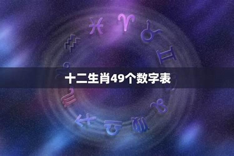 各生肖代表的数字