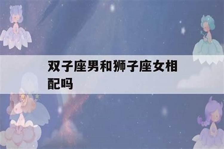 双子男和狮子女合不合适在一起