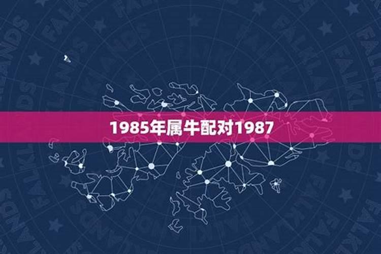 1985年属牛和1987年属兔