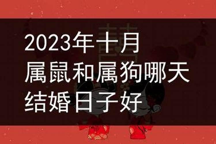 两个属狗的今年结婚吉日