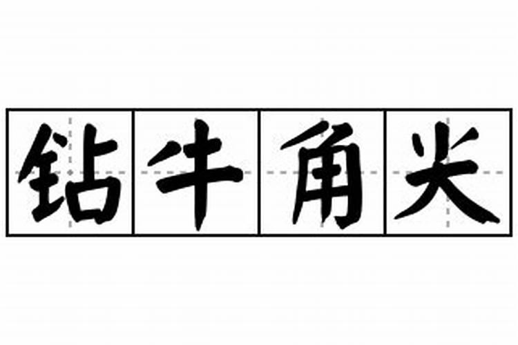 钻牛角尖怎么解释