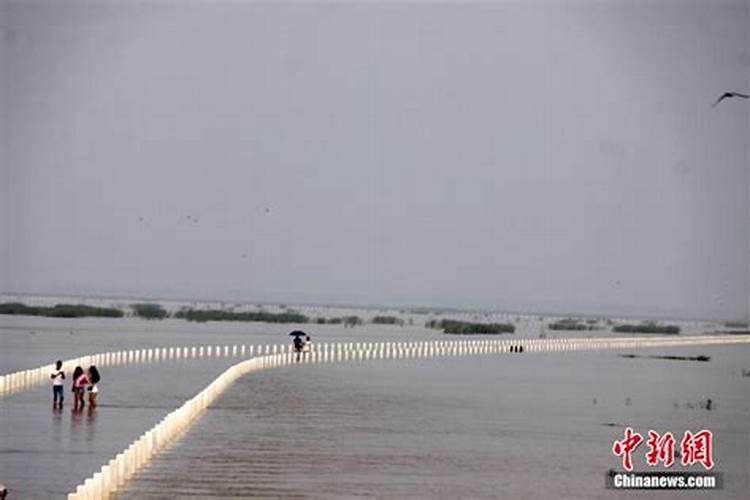 梦见大水漫过路面