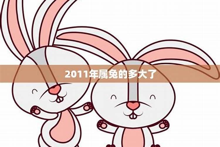 8几年属兔是哪一年出生的