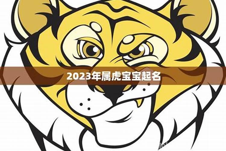 2023年属虎的宝宝起名