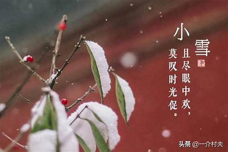 不见下雪不回家是什么生肖