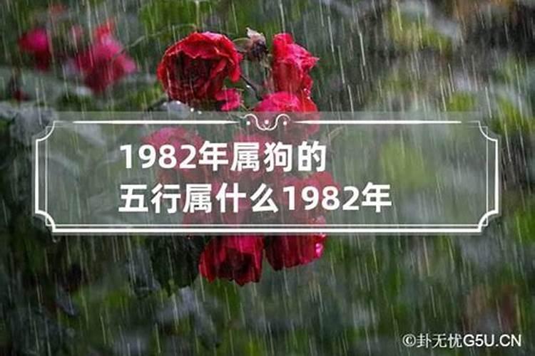 1982年狗五行属什么缺什么