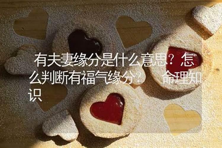 夫妻缘份少是什么意思啊