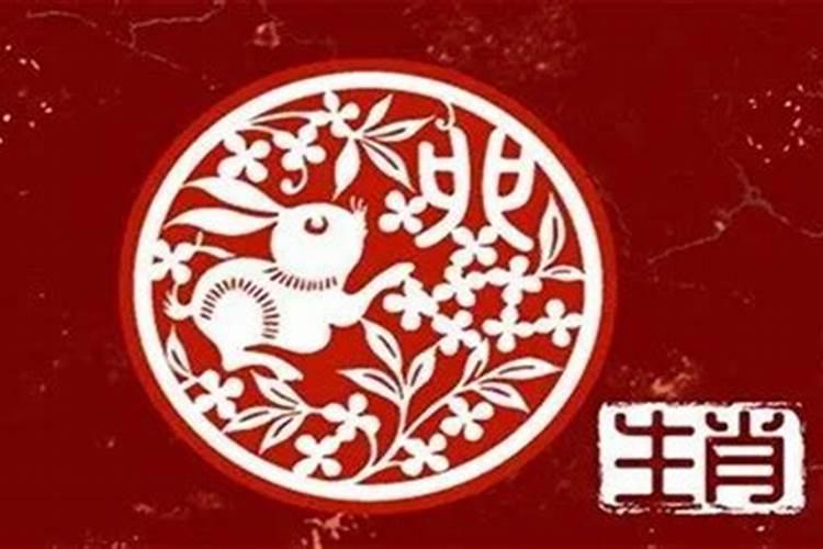 87年5月属兔的是什么星座