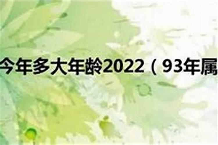 93年属鸡女2023年感情运势