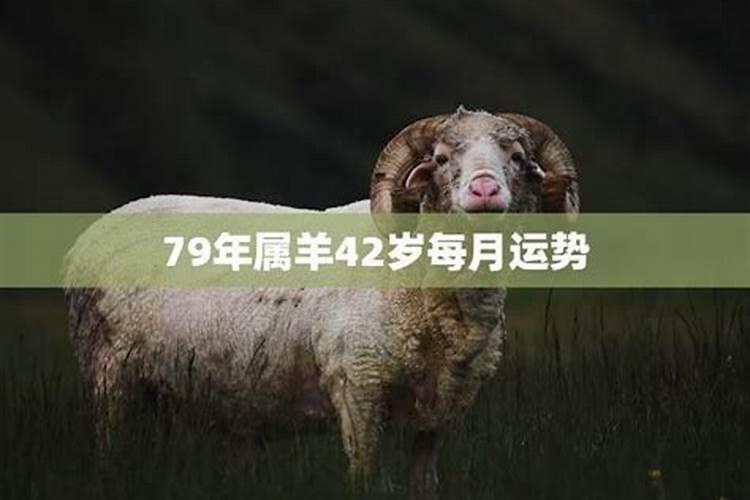 79年属羊42岁财运