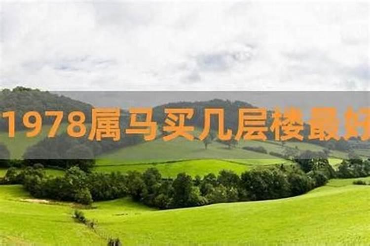 属马的适合住几楼层数