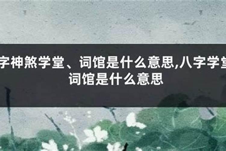 八字学堂是什么意思