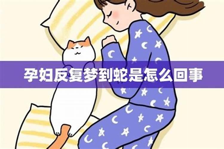 孕妇梦见白色的蛇是什么意思周公解梦