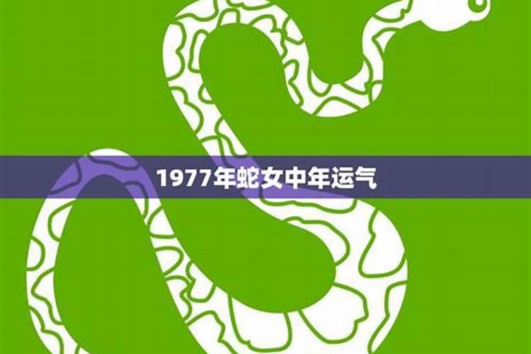 蛇女2023年桃花运，1977年属蛇人2023年运势怎么样