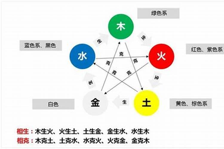 绿色植物五行属性