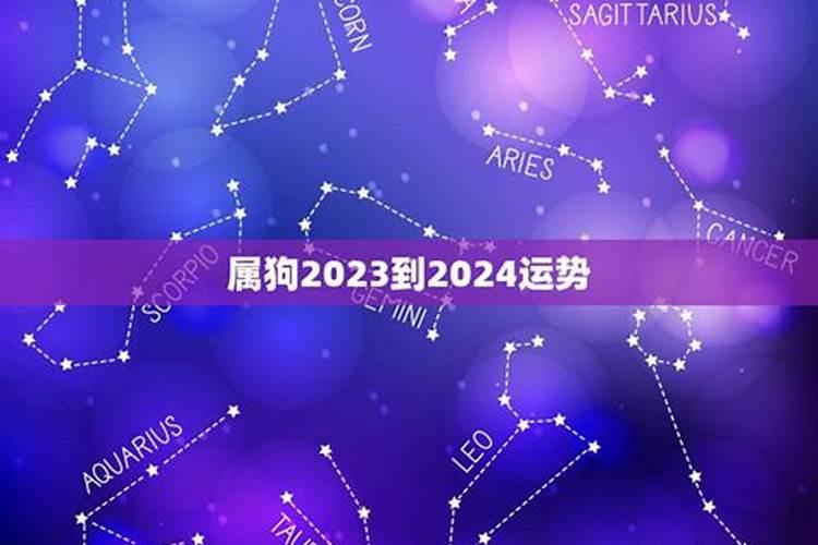 属狗人2023年运势完整版